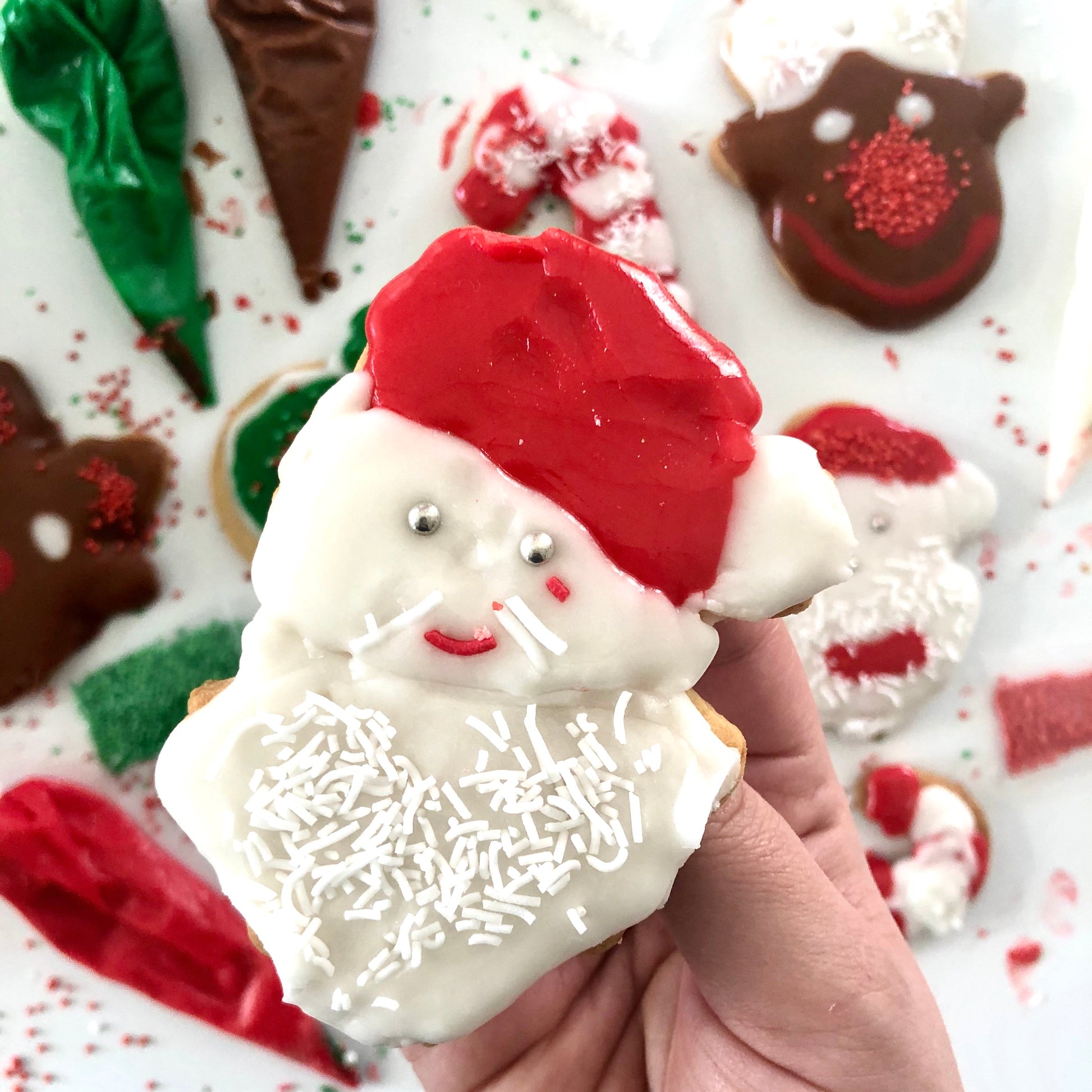 DIY Christmas cookie kit, includes everything you need to make your own gorgeous cookies.